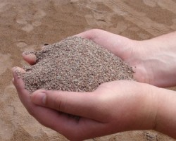 Добыча песка грозит закрытием пляжей в Сестрорецке